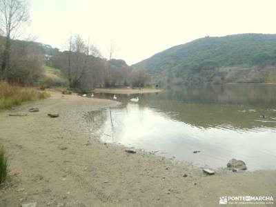 Ruta del Turrón y Polvorón - Los Pinares del Rey: naturaleza y biodiversidad; poncebos urueña playa 